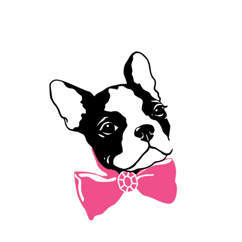 Companion Animal Alliance – Furball