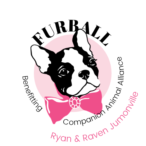 Companion Animal Alliance – Furball